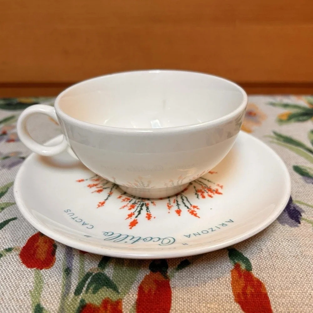 VTG Arizona Cactus Dinnerware Ocotillo Teacup Saucer Mid-Century Southwestern